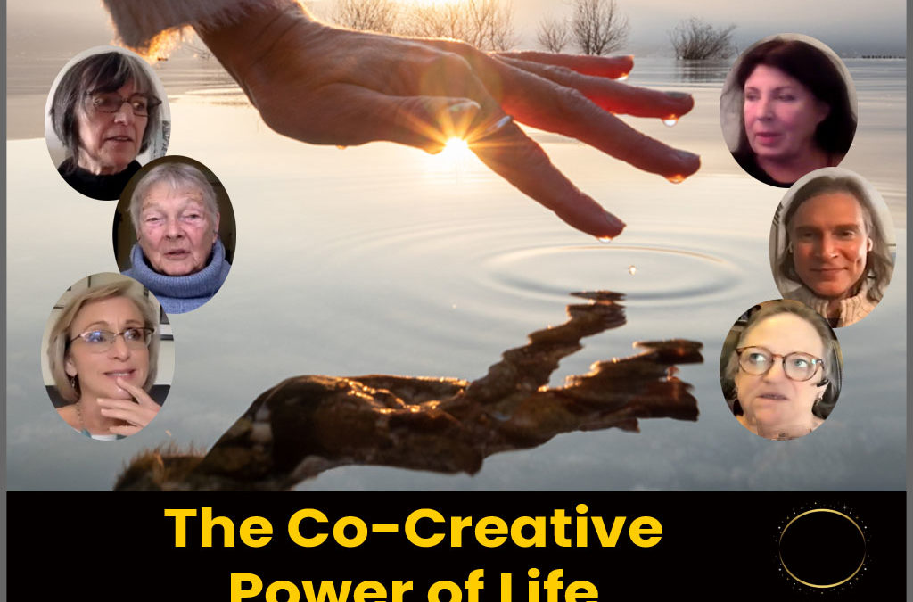 The Co-Creative Power of Life