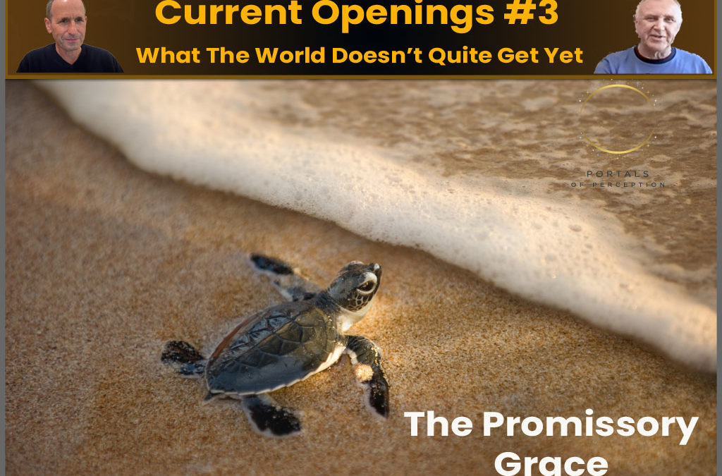 Current Openings #3: The Promissory Grace