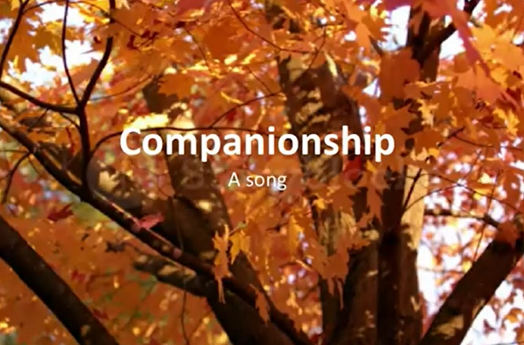 Companionship – a song