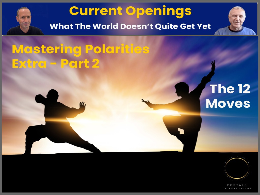 Mastering Polarities Extra, Part 2: The 12 Moves
