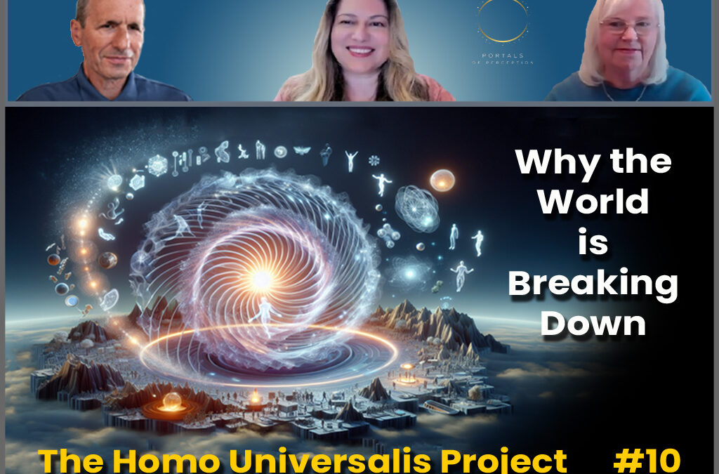 The Homo Universalis Project #10 – Why the World is Breaking Down