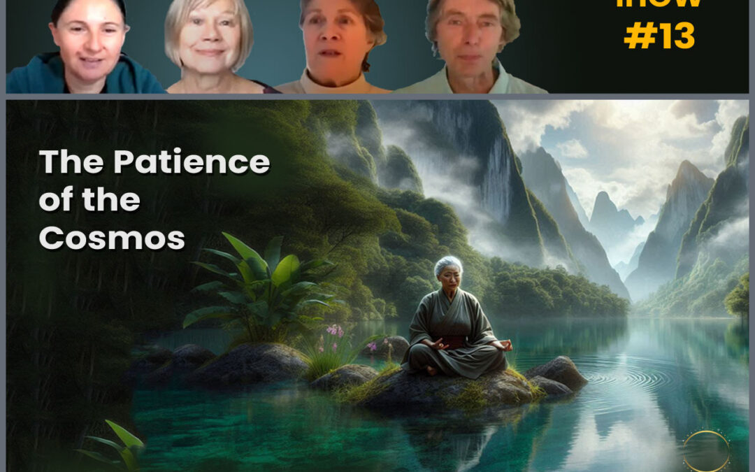The Patience of the Cosmos – IHOW #13