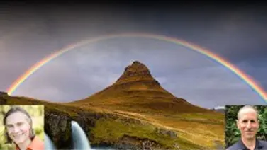 The Homo Universalis Project